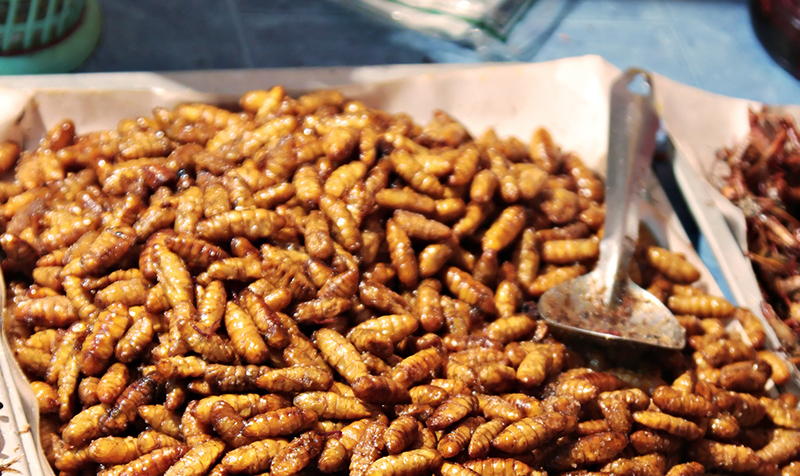 Fried larvas on the thailand night market