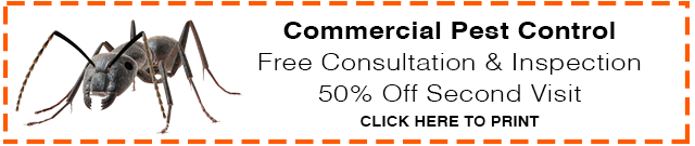 CommercialCoupon
