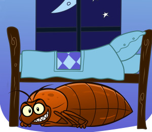 Bedbug under your bed