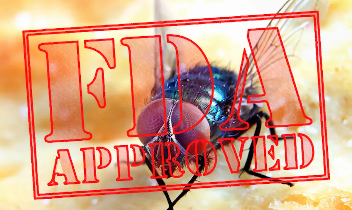 Image of a fly on food with an “FDA Approved” stamp overlay