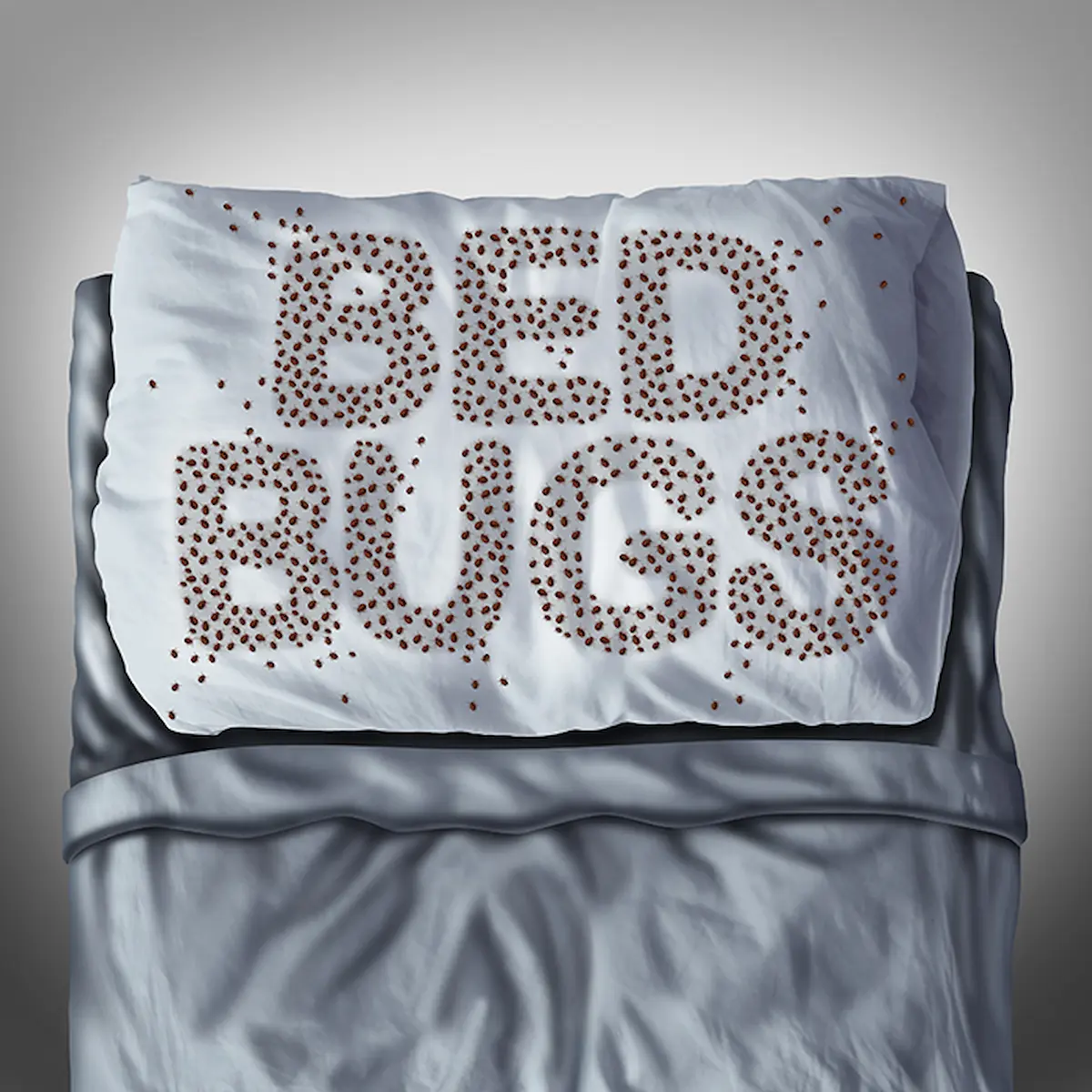 bed-bugs-pillow-warning
