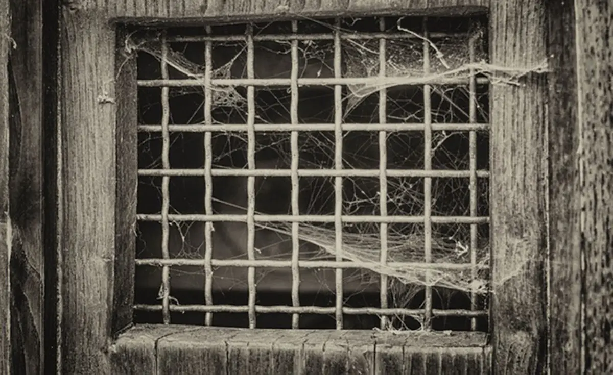 Image of a vent or opening covered with spider webs on a door or wooden surface