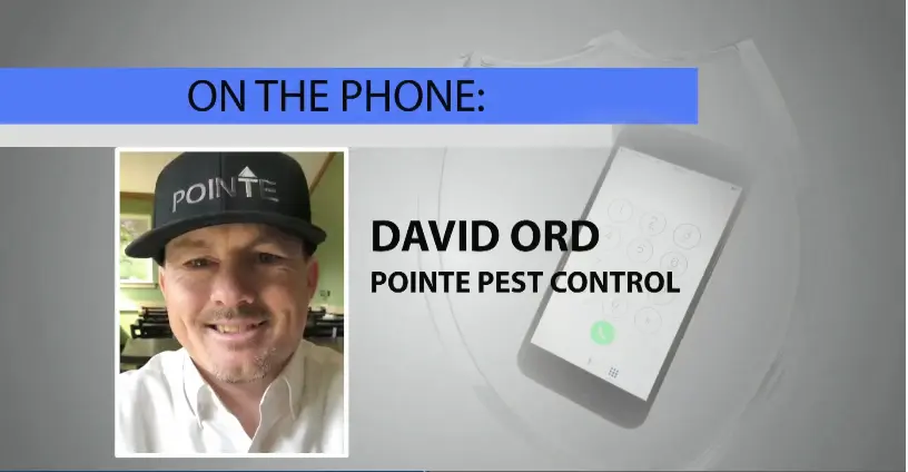 Image of David Ord from Pointe Pest Control featured in a phone interview segment