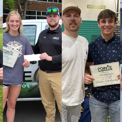 Pointe Pest Control Your Pest Control Experts