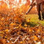 leafblower blowing leaf piles