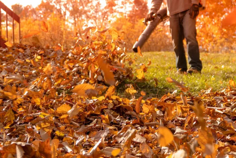 leafblower blowing leaf piles