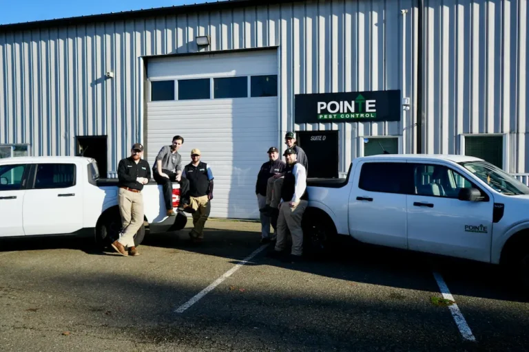 Olympia Washington Pest Control Team