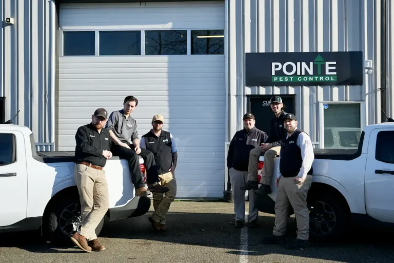 Olympia Washington Pest Control Team