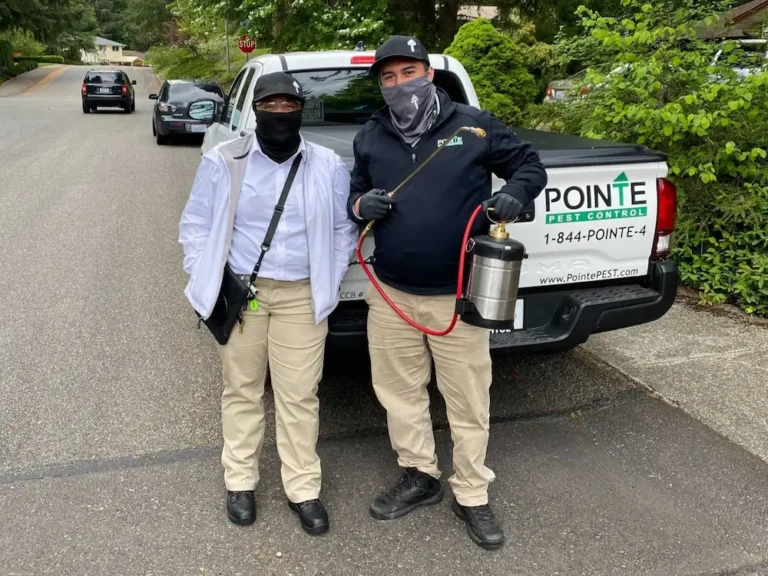 pest control team in a residential area