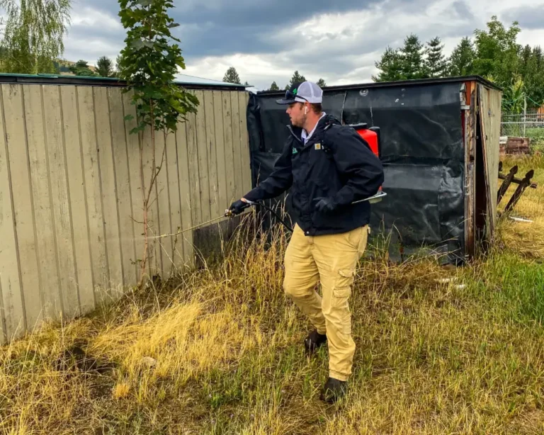 pointe pest control team in a customers lawn or backyard