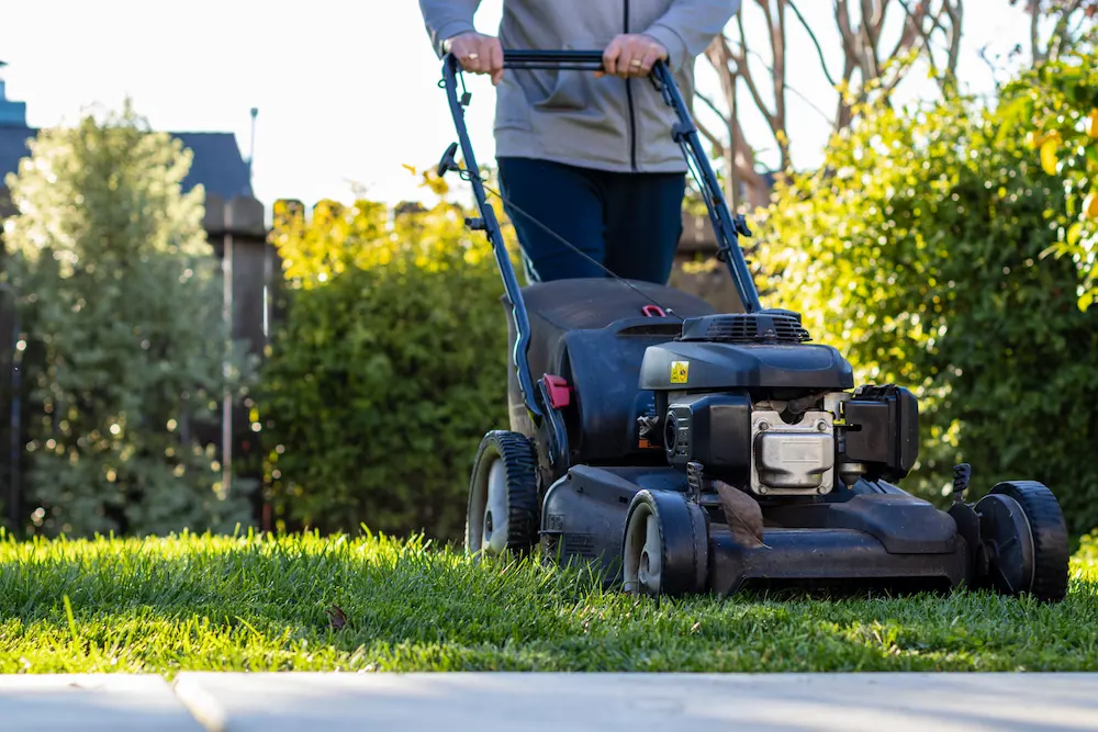 summer lawn The Ultimate Guide to PNW Summer Pest Control