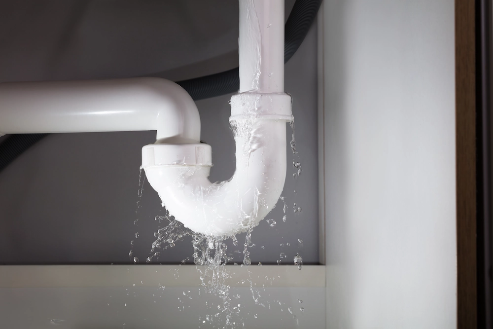 summer water The Ultimate Guide to PNW Summer Pest Control