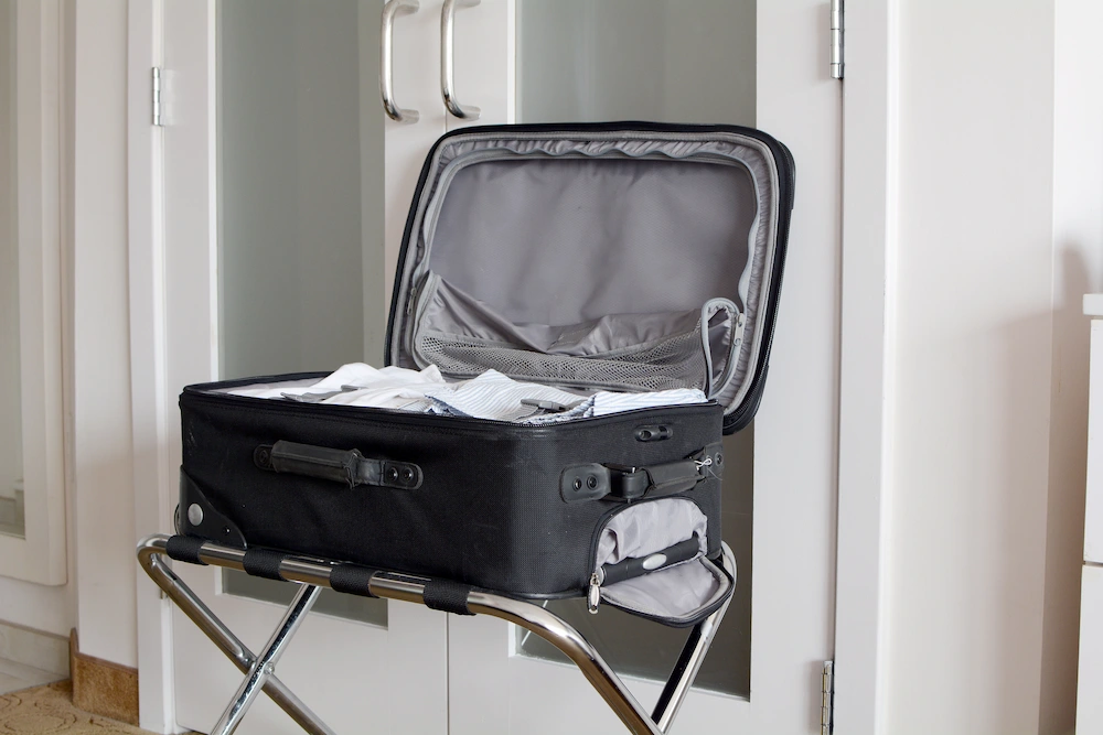 bed bugs elevated How to Prevent Bed Bugs During Travel