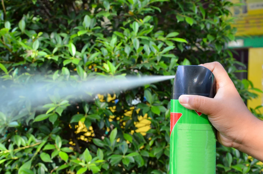 bed bugs pesticides How to Prevent Bed Bugs During Travel