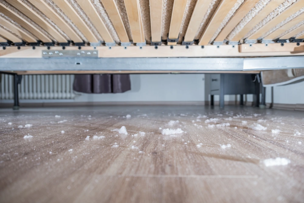 ants floors Got Ants? These are the 8 Possible Reasons Why…