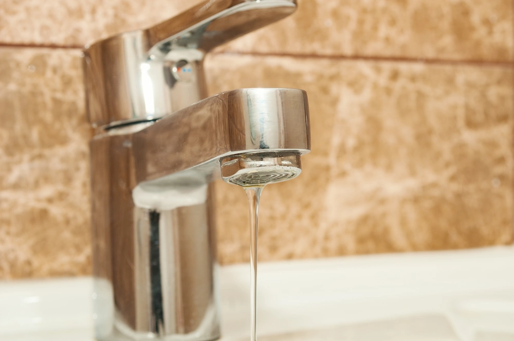 ants moisture Got Ants? These are the 8 Possible Reasons Why…