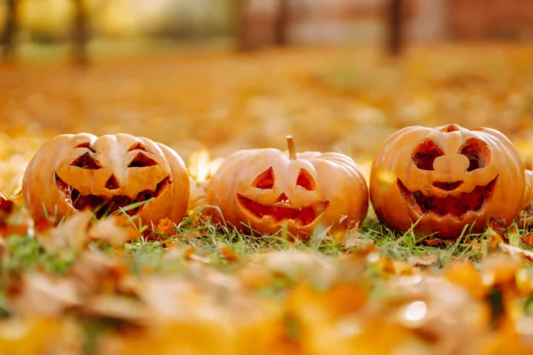 pumpkins; pests attracted to pumpkins