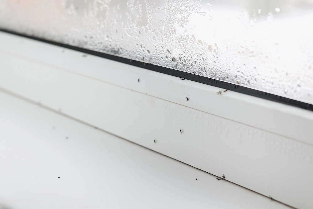 pnw cold weather pest Can You Have More Pest Problems When It’s Cold?