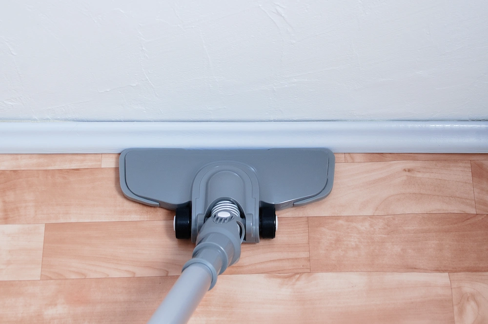 pnw2 checklist Silverfish Are Fall's Sneakiest Invaders