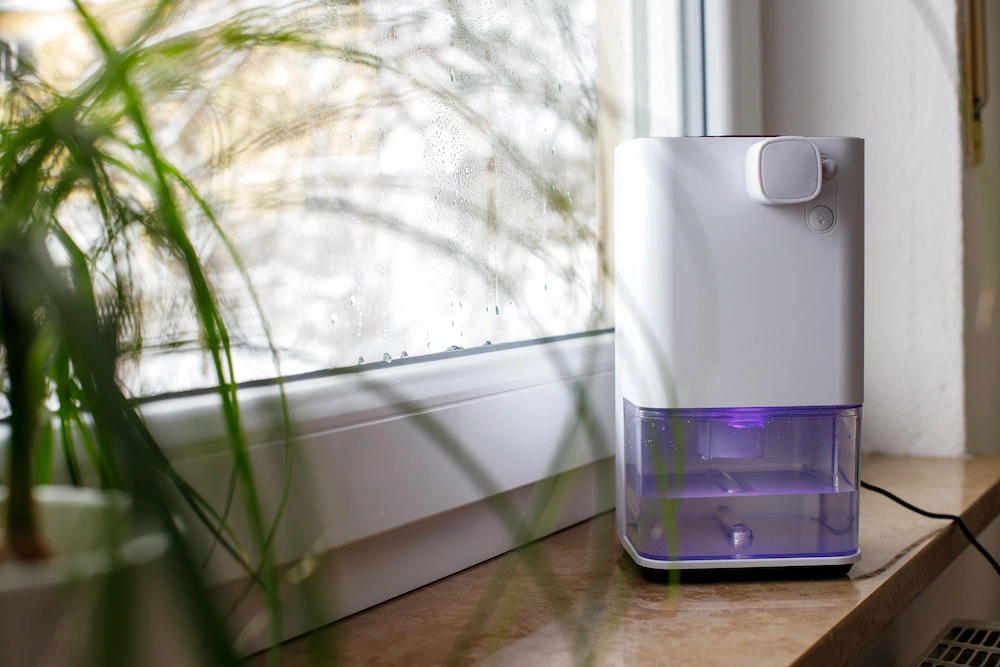 pnw2 silverfish prevention Silverfish Are Fall's Sneakiest Invaders