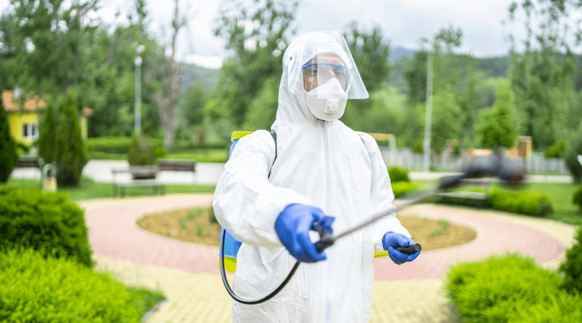 exterminator service geo city GeoCity