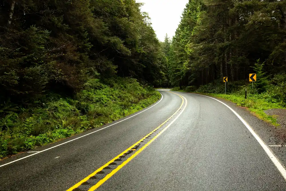 Curving road through forest with road signs on rural highway