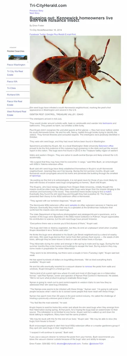 News article about box elder bug infestation with close up image of red and black insect