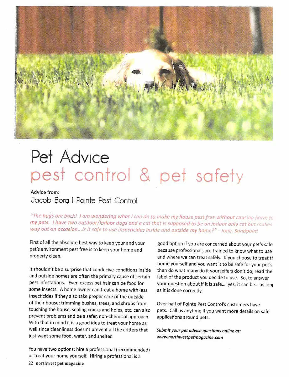 Pet advice article about pest control and pet safety with dog lying in grass