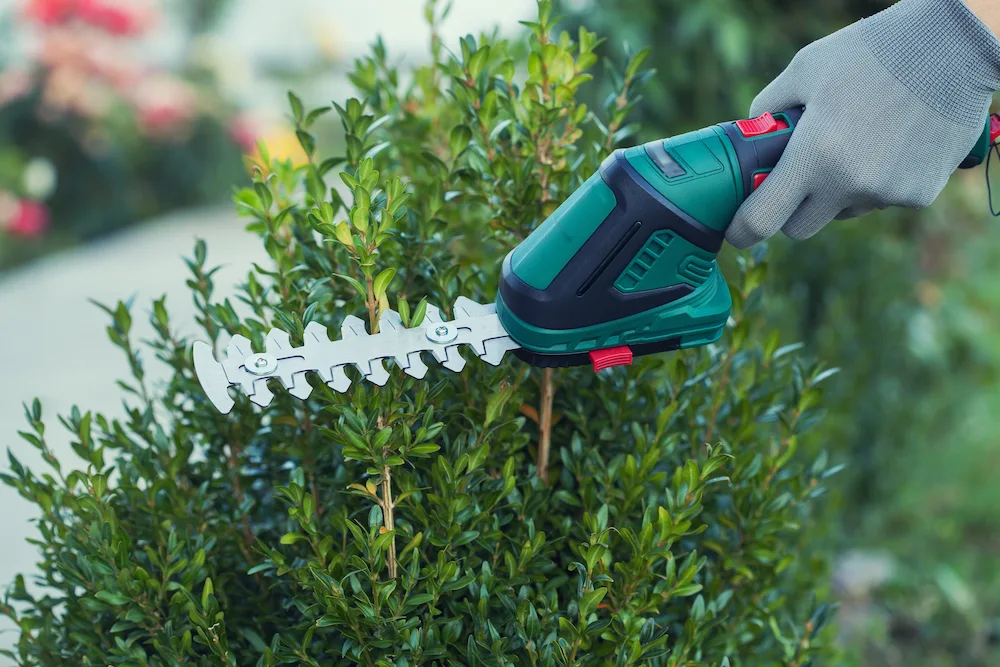 pnw3 best ways How to Get Rid of Ants: Easy Prevention Tips and Control Methods