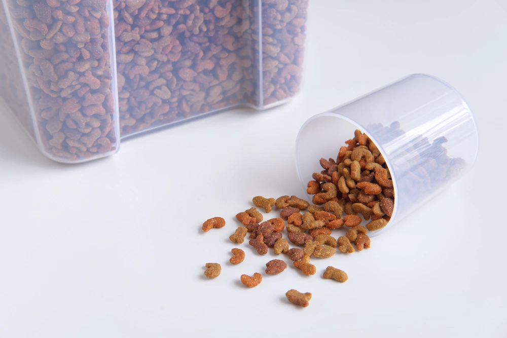 pests attracted to pet food