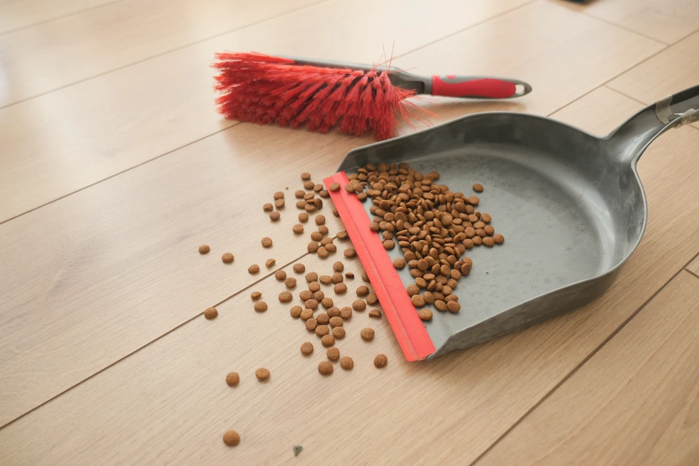 pnw1 how to keep Pests That Love Pet Food: Common Pet Food Pests and How to Prevent Them