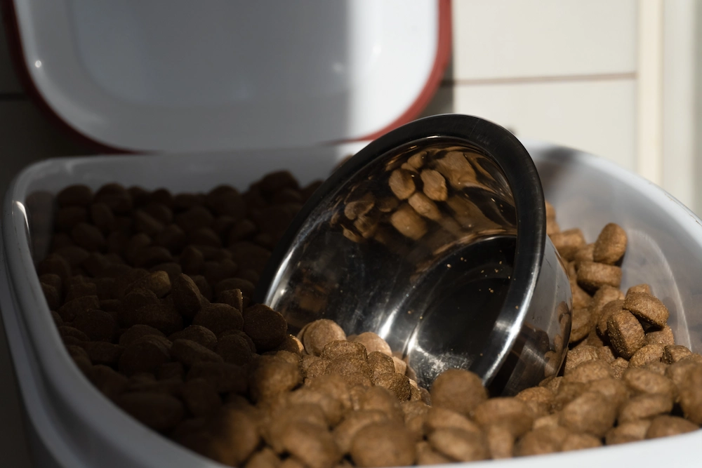 pnw1 how to store Pests That Love Pet Food: Common Pet Food Pests and How to Prevent Them