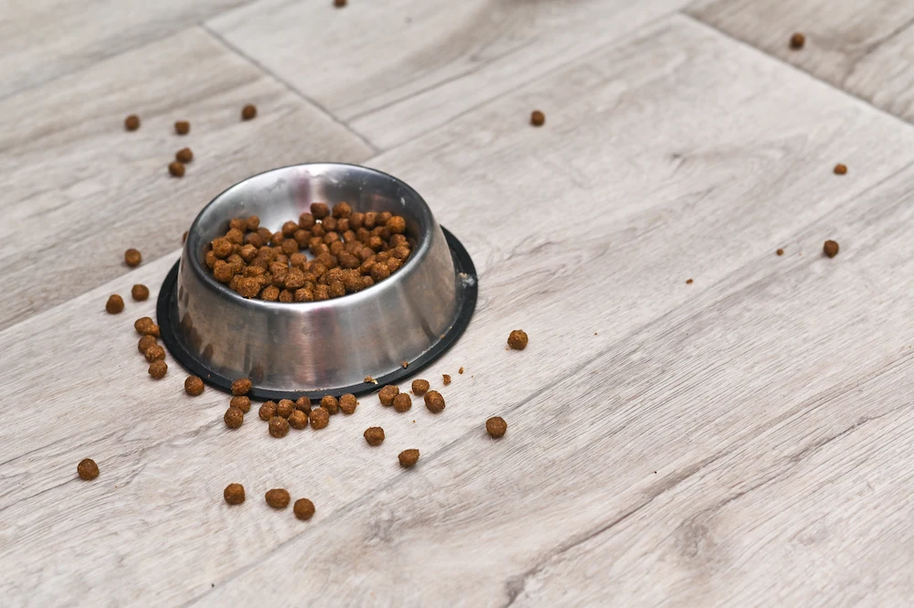 pnw1 why pet food Pests That Love Pet Food: Common Pet Food Pests and How to Prevent Them