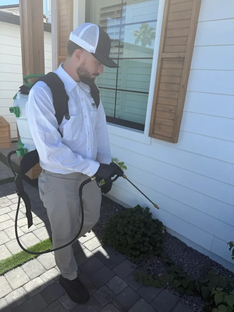 pnw3 get ahead How to Prepare Your House for a Pest-Free Fall